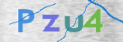 この文字を入力してください