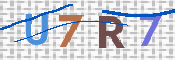 この文字を入力してください