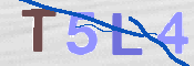この文字を入力してください