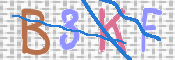 この文字を入力してください