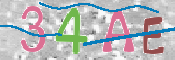 この文字を入力してください