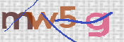 この文字を入力してください