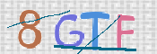 この文字を入力してください