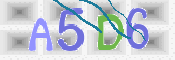 この文字を入力してください