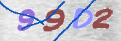 この文字を入力してください