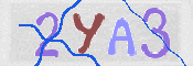 この文字を入力してください