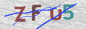 この文字を入力してください