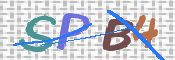 この文字を入力してください