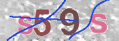 この文字を入力してください