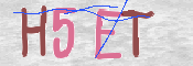 この文字を入力してください