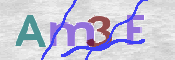 この文字を入力してください