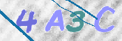 この文字を入力してください