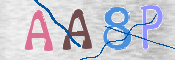 この文字を入力してください