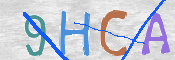 この文字を入力してください