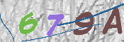 この文字を入力してください