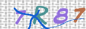 この文字を入力してください