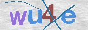 この文字を入力してください