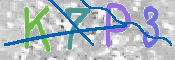 この文字を入力してください