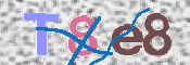 この文字を入力してください