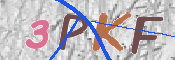 この文字を入力してください