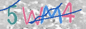 この文字を入力してください