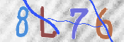 この文字を入力してください