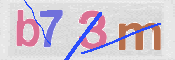 この文字を入力してください