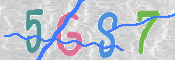 この文字を入力してください