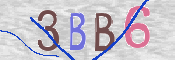 この文字を入力してください