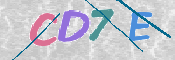 この文字を入力してください