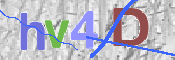 この文字を入力してください