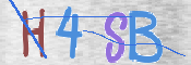この文字を入力してください