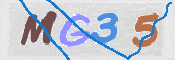 この文字を入力してください