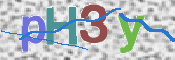 この文字を入力してください
