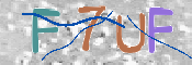 この文字を入力してください
