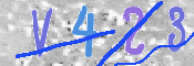 この文字を入力してください