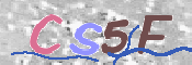 この文字を入力してください