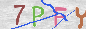 この文字を入力してください