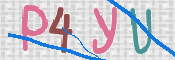 この文字を入力してください
