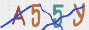 この文字を入力してください