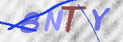 この文字を入力してください