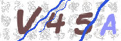 この文字を入力してください