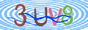 この文字を入力してください