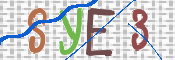 この文字を入力してください