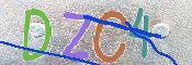 この文字を入力してください