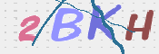 この文字を入力してください