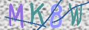 この文字を入力してください