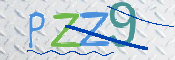 この文字を入力してください