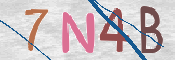 この文字を入力してください