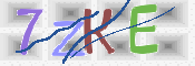 この文字を入力してください